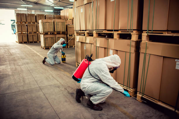 Professional Pest Control in Billington Heights, NY