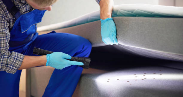 Pest Control Cost in Billington Heights, NY