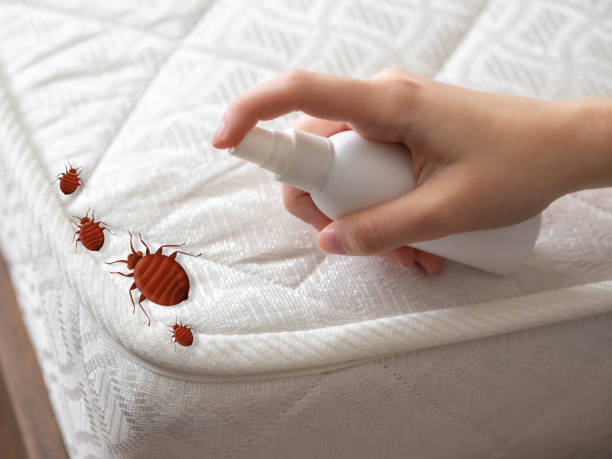 Best Mosquito Control Services  in Billington Heights, NY