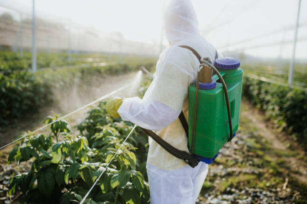Best Best Pest Control Companies  in Billington Heights, NY